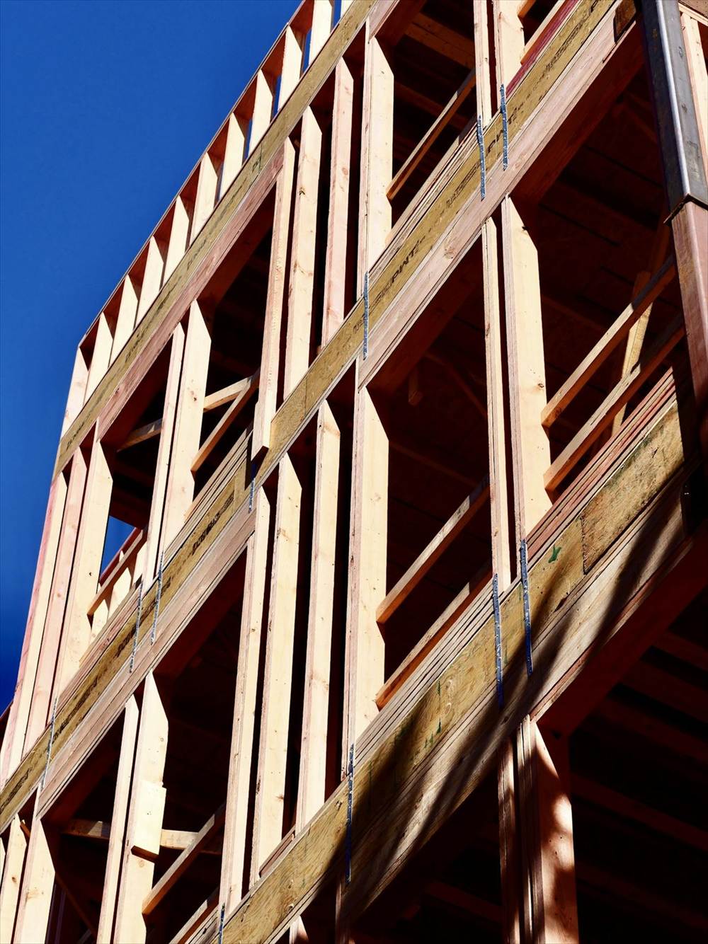 Timber framing rising against a deep blue sky on a residential build.